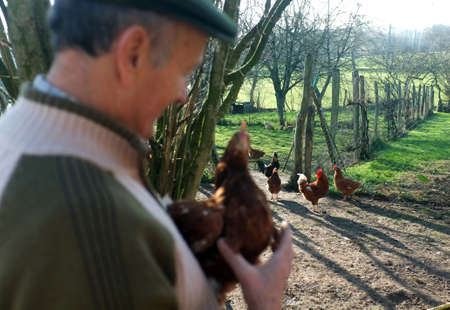 French farmer holding a chickenのeditorial素材