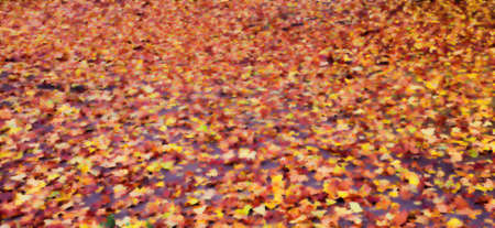 Fallen leaves on the floor as backgroundの写真素材