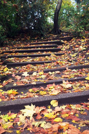 Fallen leaves on steps of a Ghent's parkの写真素材