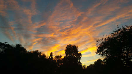 Dawn in parkの写真素材