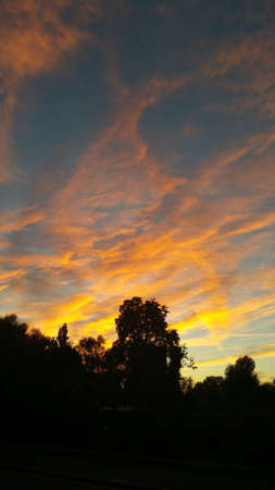 Dawn in parkの写真素材
