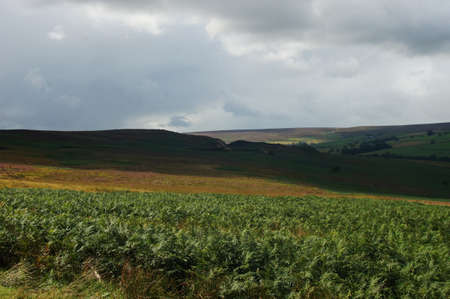 Landscape under clouds in Yorkshireの写真素材