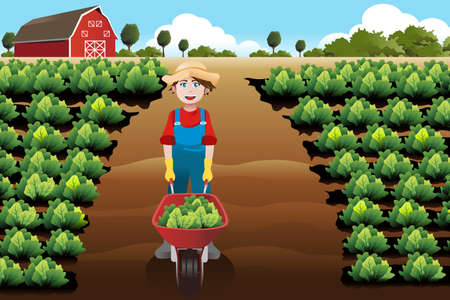 A vector illustration of little boy working in a vegetable farmのイラスト素材