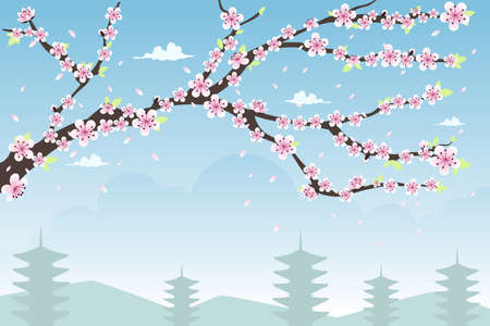 A vector illustration of cherry blossom background design with copyspaceのイラスト素材