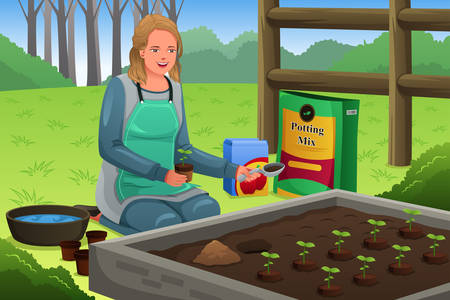 A vector illustration of beautiful woman planting herbs in herb gardenのイラスト素材