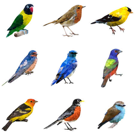 A vector illustration of different type of birdsのイラスト素材