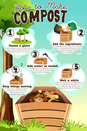 A vector illustration of how to make compost infographicのイラスト素材