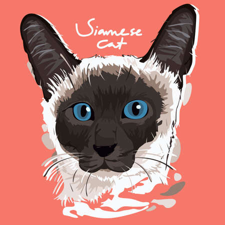 A vector illustration of Siamese Cat Painting Posterのイラスト素材