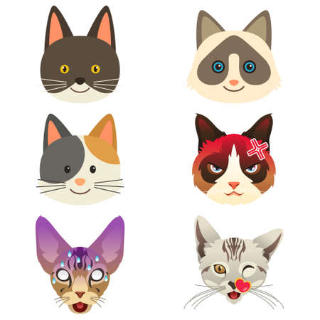 An illustration of different kittens.のイラスト素材