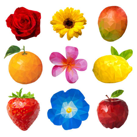 A polygon vector illustration of Fruits and Flowersのイラスト素材