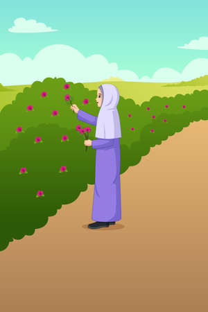 A vector illustration of Muslim Woman Picking Out Flowers in the Gardenのイラスト素材