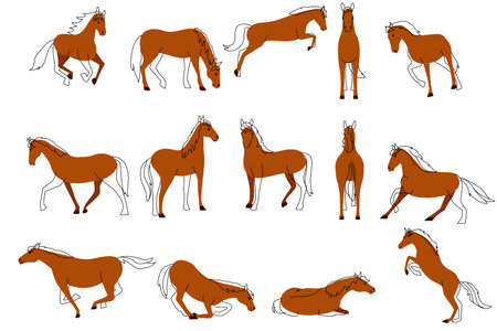 A vector illustration of Different Poses of Horses Iconsのイラスト素材