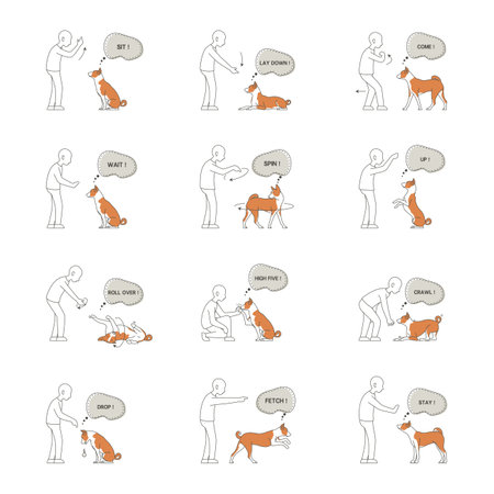A vector illustration of Dog Training Icons Setのイラスト素材