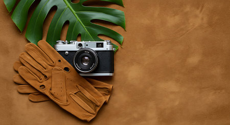 Leather gloves, camera and monstera leaf on brown leather backgroundの素材