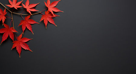 Red maple leaves on black background with copy space. Autumn concept.の素材