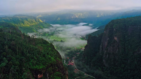 Panoramic view of foggy valley in the morning. Mountain landscapeの素材