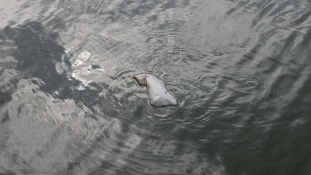 Dirty plastic bag floating in clean lake, river, sea or ocean water. Beginning of water pollution. Plastic waste and plastic pollution, a major problem for our planet.の写真素材