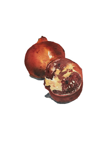 Watercolor hand drawn illustration of pomegranate. Watercolor fruit set with two hole pomegranate. Art can be used for postcard, menu design, printing.の写真素材
