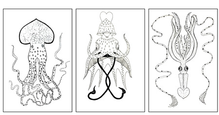 Collection of three hand drawn octopus. Black and white artの写真素材
