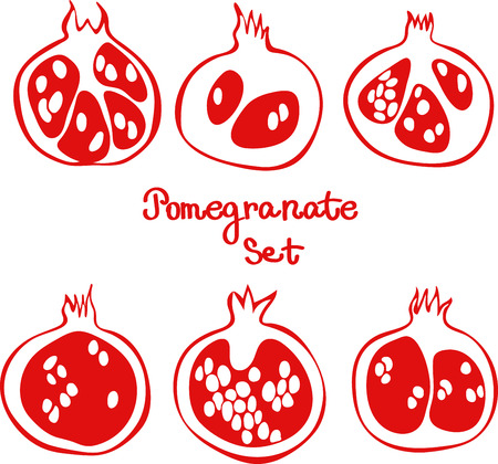 Pomegranate set. Hand drawn vector illustration of outline garnet.のイラスト素材