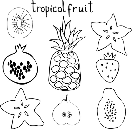 Vector set of tropac fruit - pineapple, pomegranate, kiwi, pear, strawberry, papaya, carambola. Hand drawn black and white illustration.のイラスト素材