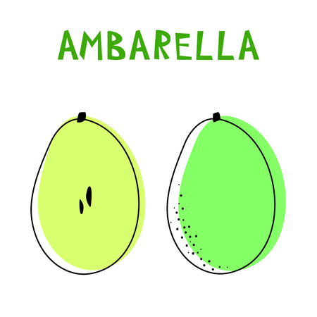 Set of two isolated ambarellas. Vector drawing of rare topucal exotic fruit - ambarella. Spondias dulcis, mombin, pomme cythere, polynesian-plum, yellow plum, otaheite-apple, tahitian quince.のイラスト素材