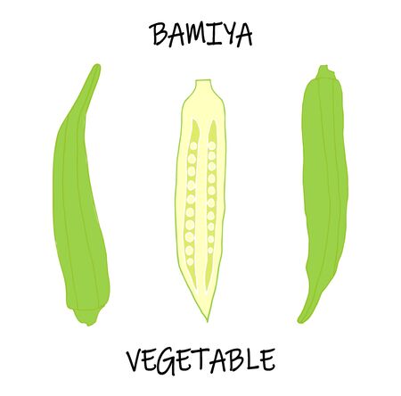 Vector illustration of african vegetable - Abelmosh edible, Bamiya, okra  gombo. Art can be used for exotic design menu.のイラスト素材