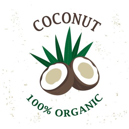 Vector packaging design element - coconut fruit. Art can be used for design pack of milk - healthy vegan drink.のイラスト素材