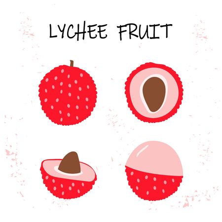 Vector illustration of lychee - tropical fruit. Modern flat style. Summer food.のイラスト素材