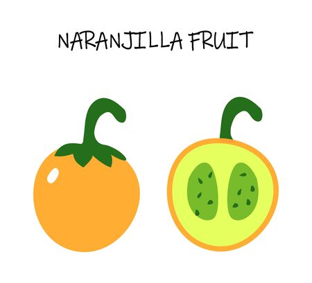 Vector illustration of naranjilla - exotic tropic fruit from Soutn America. Vegetarian art for healthy cooking menu.のイラスト素材