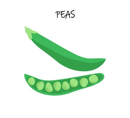 Vector illustration of peas. Modern flat design. Art can be used for packaging design element; restaurant menu; vegan logo.のイラスト素材