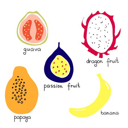 Collection of tropical fruits: guava; passion fruit; dragon fruit; papaya; banana. のイラスト素材