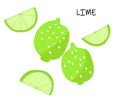 Vector illustration of lime  - citrus fruit.のイラスト素材
