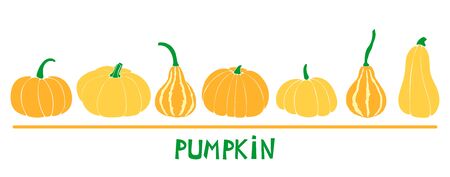 Set with six pumpkins: bottle gourd; cinderella variety; butternut. Orange autumn vegetables.のイラスト素材