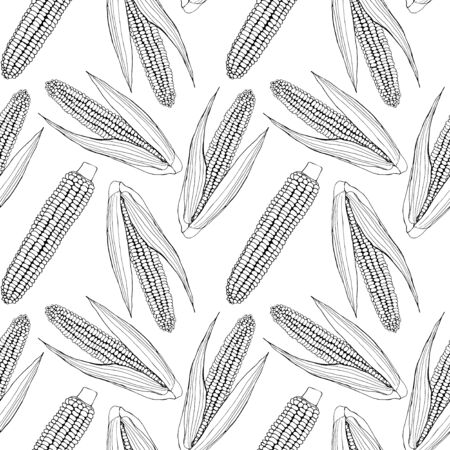 Seamless pattern with corn - black outline doodle. のイラスト素材