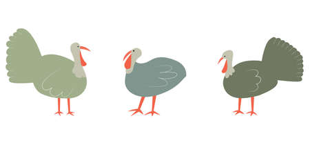 Vector illustration with turkey. Cute cartoon characters.のイラスト素材