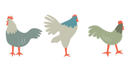 Vector illustration with rooster. Cute cartoon characters.のイラスト素材