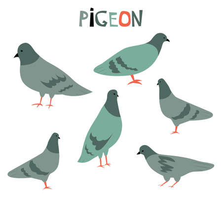 Vector illustration with cute cartoon pigeions.のイラスト素材