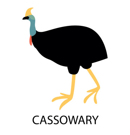 Illustration with cassowary.Cute cartoon character. Australian birdのイラスト素材