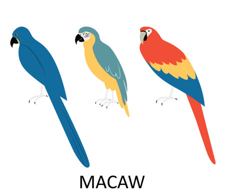 Illustration with macaw. Cartoon character of bird.のイラスト素材