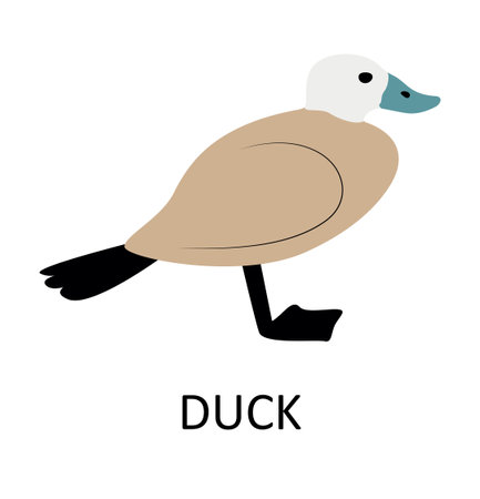 Illustration with duck. Cute cartoon characterのイラスト素材