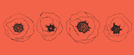 Illustration with poppies. Linear doodle art.のイラスト素材