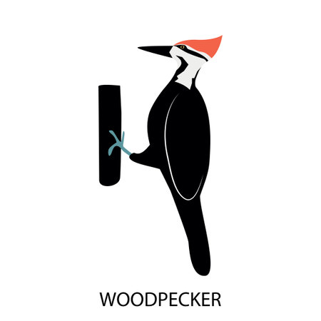 Illustration with woodpecker - cute cartoon character.のイラスト素材