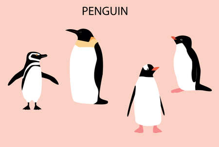 Illustration with emperor penguin. Cute cartoon character. Antarctica bird.のイラスト素材