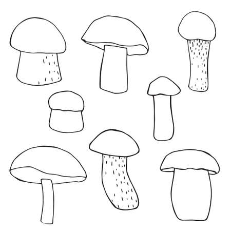 Vector illustration. Doodle drawing of mushrooms.のイラスト素材