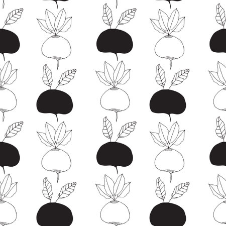 Vector illustration. Doodle sketch of beetroot.のイラスト素材