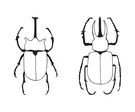 Vector illustration. Drawing of bugs.のイラスト素材