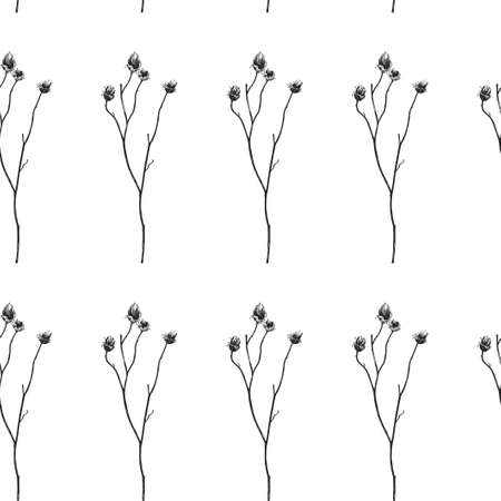 Seamless pattern. Vector illustration with wildflower. Doodle sketch.のイラスト素材