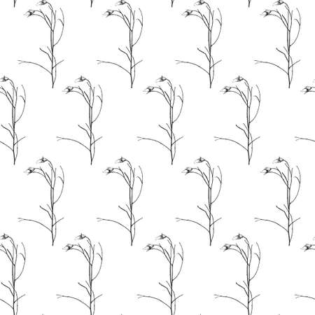 Seamless pattern. Vector illustration with wildflower. Doodle sketch.のイラスト素材