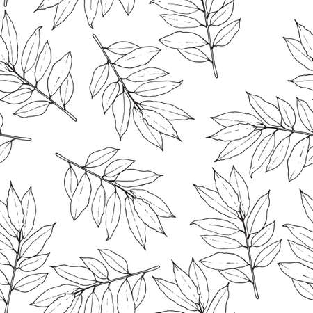 Seamless pattern. Vector illustration with bay leaf.のイラスト素材